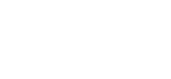 Zênite Orbit